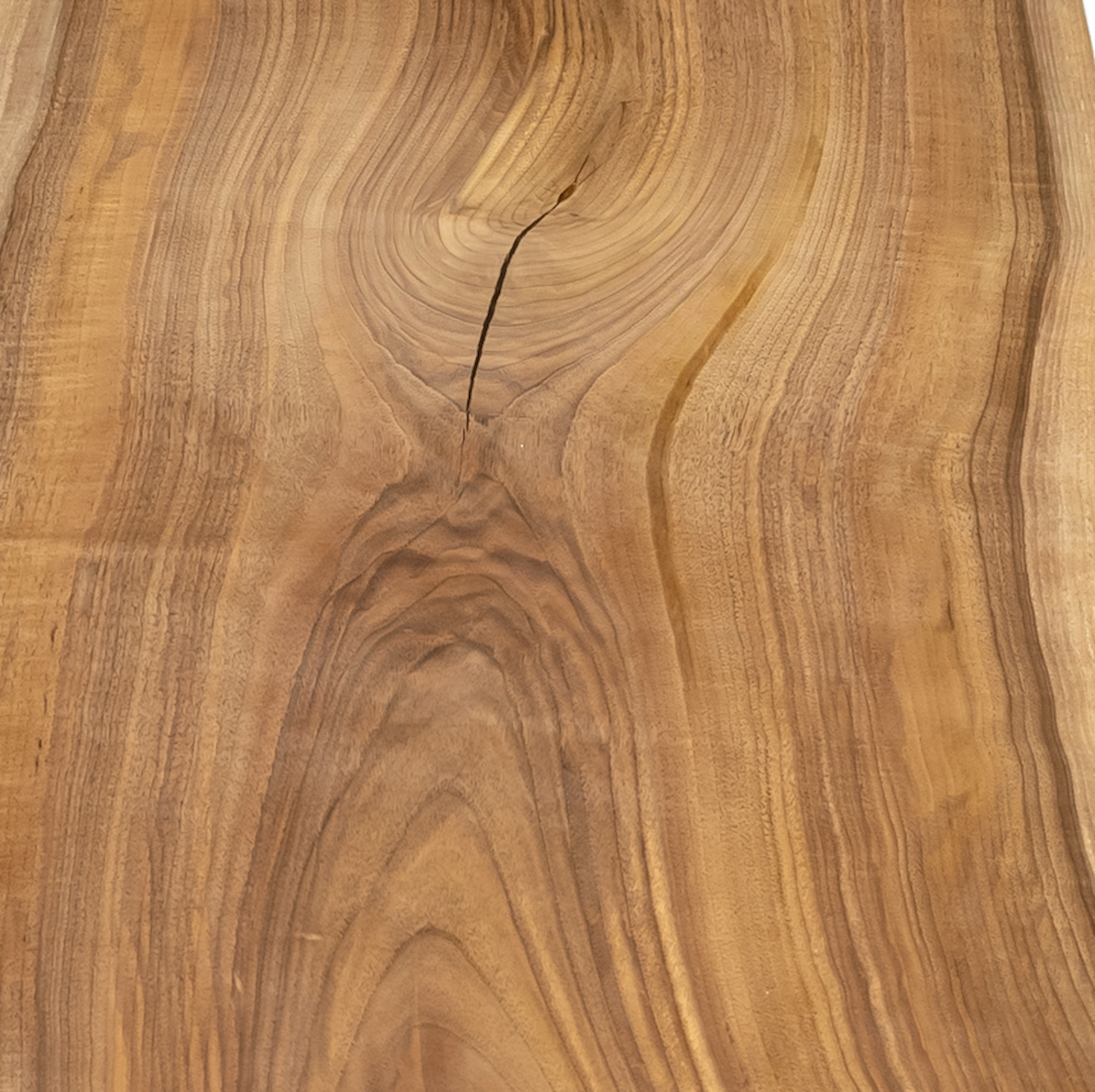 Wood Samples  | S10Home